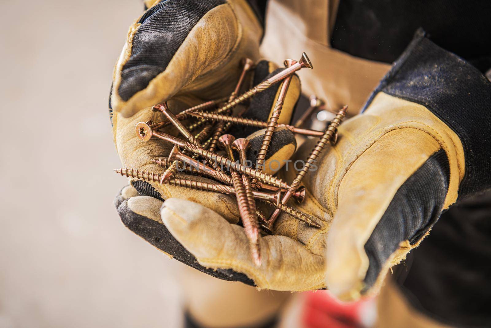 Man In Gloves Holding Golden Wood Screws In Hands.  by welcomia