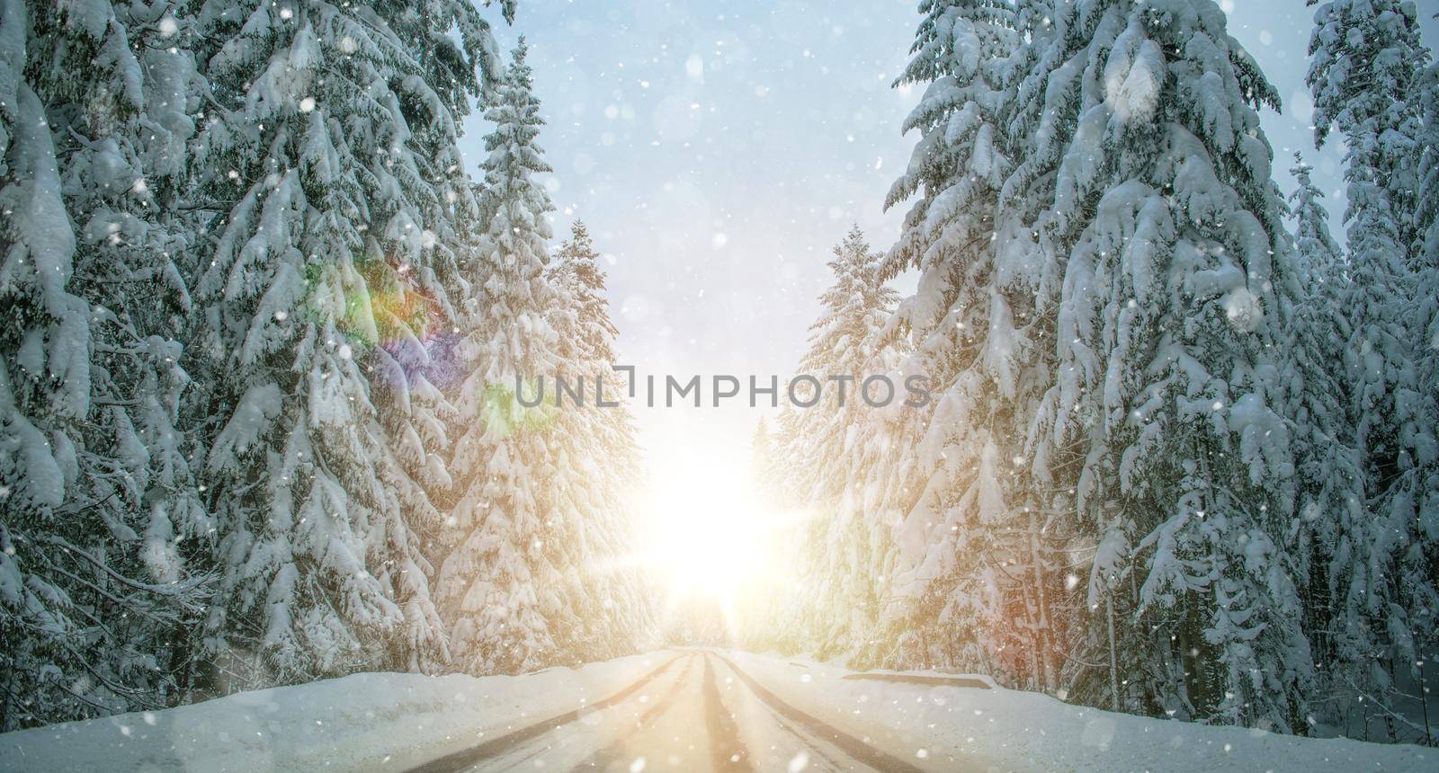 Scenic Winter Road Wonderland. Scenic Icy Highway Trough Dense Spruce Forest Covered by Fresh Snow. 