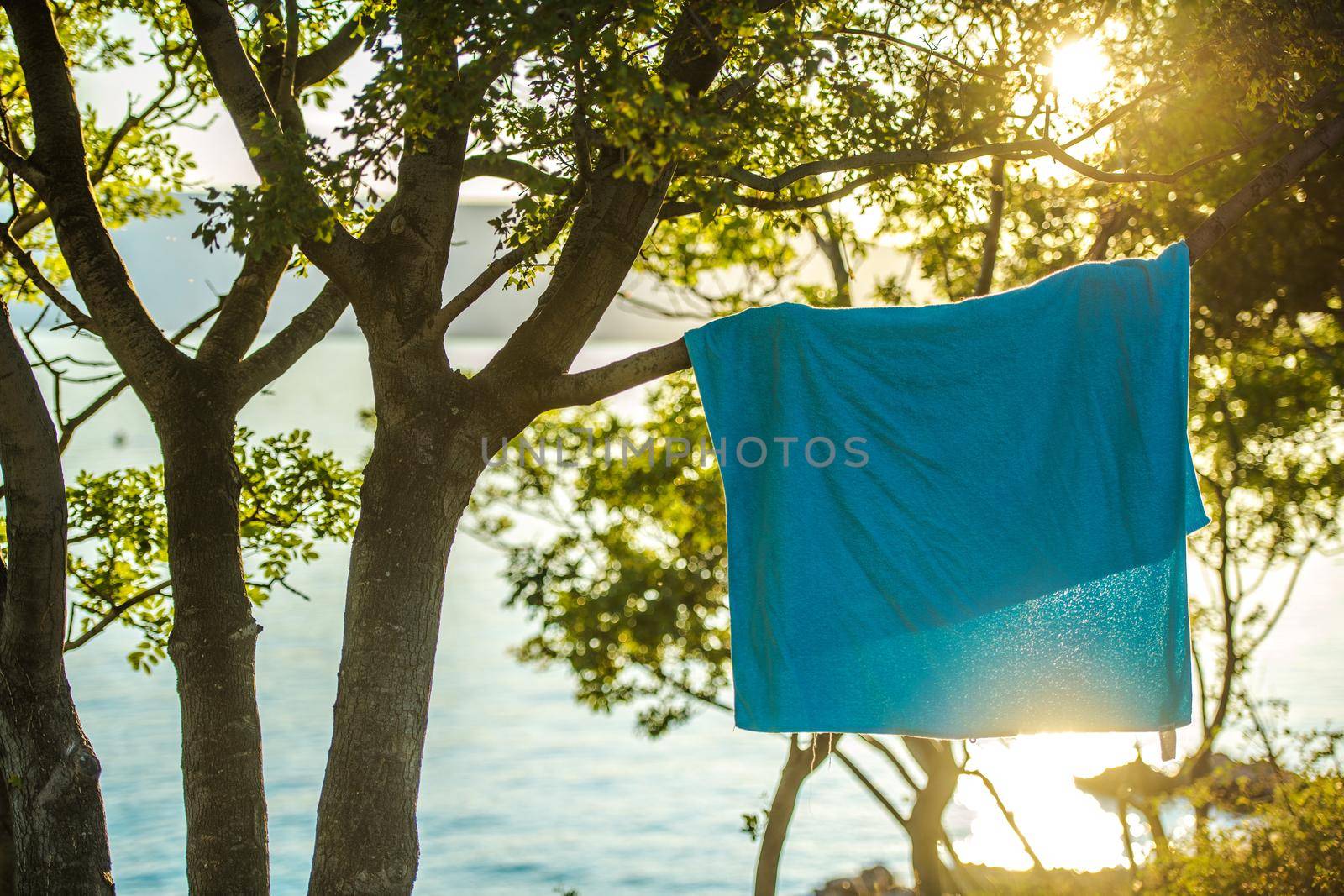 Wet Towel on a Tree Branch. Summer Vacation at the Sea Concept.