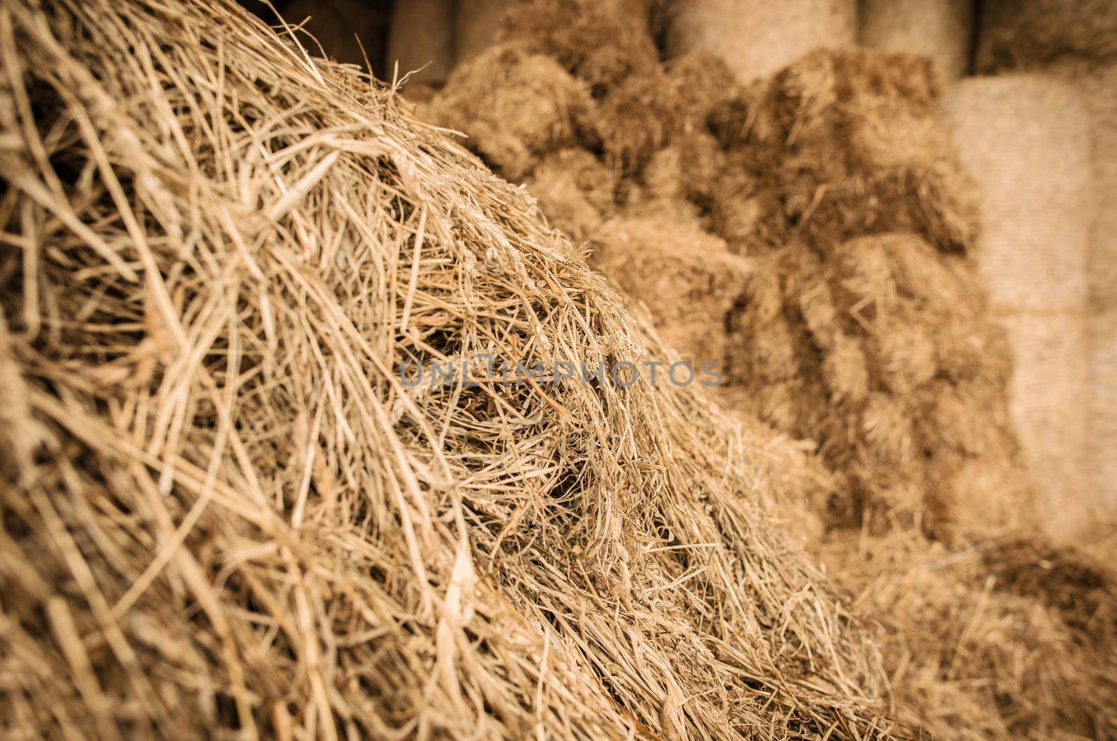 Closer Up Of Pile Of Loose Yellow Hay And Rolled Bale In Barn. 