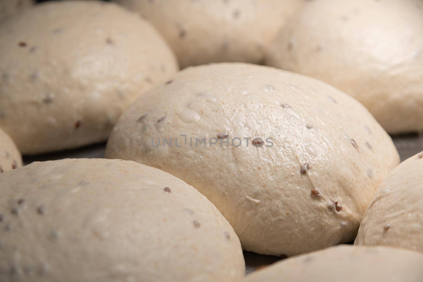 Close-up Homemade yeast dough buns for cutlets on a baking sheet. Hamburger buns dough pieces by yanik88