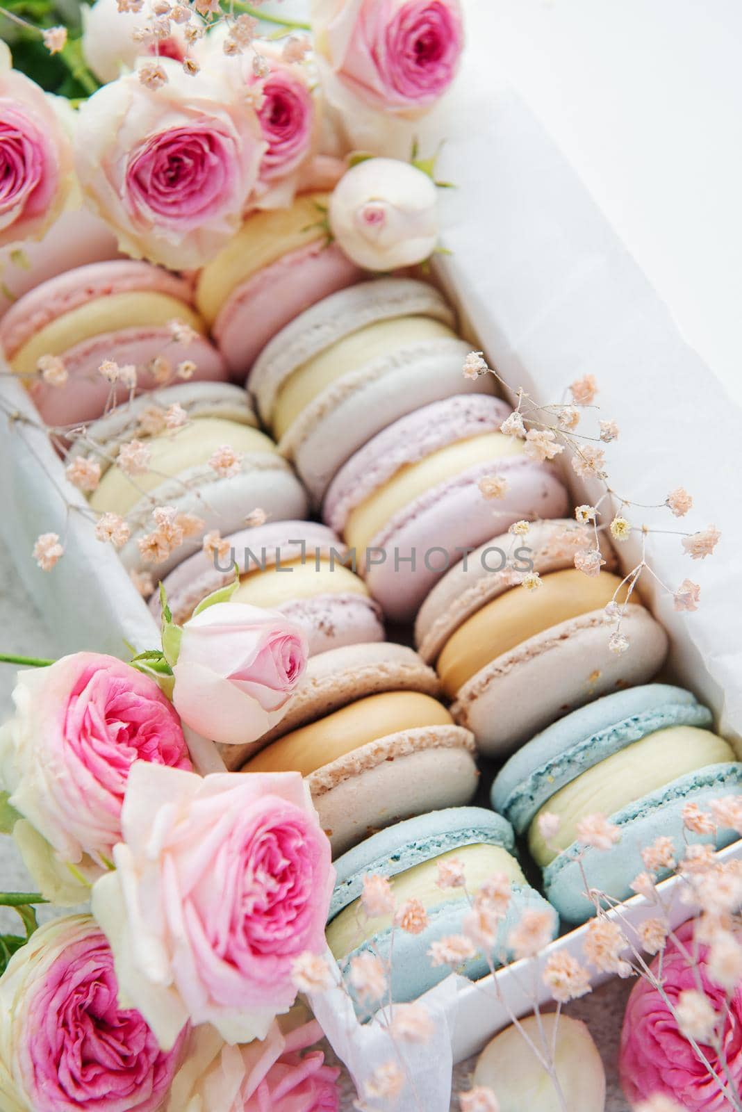 Box with delicious colorful macaroons and rose flowers.