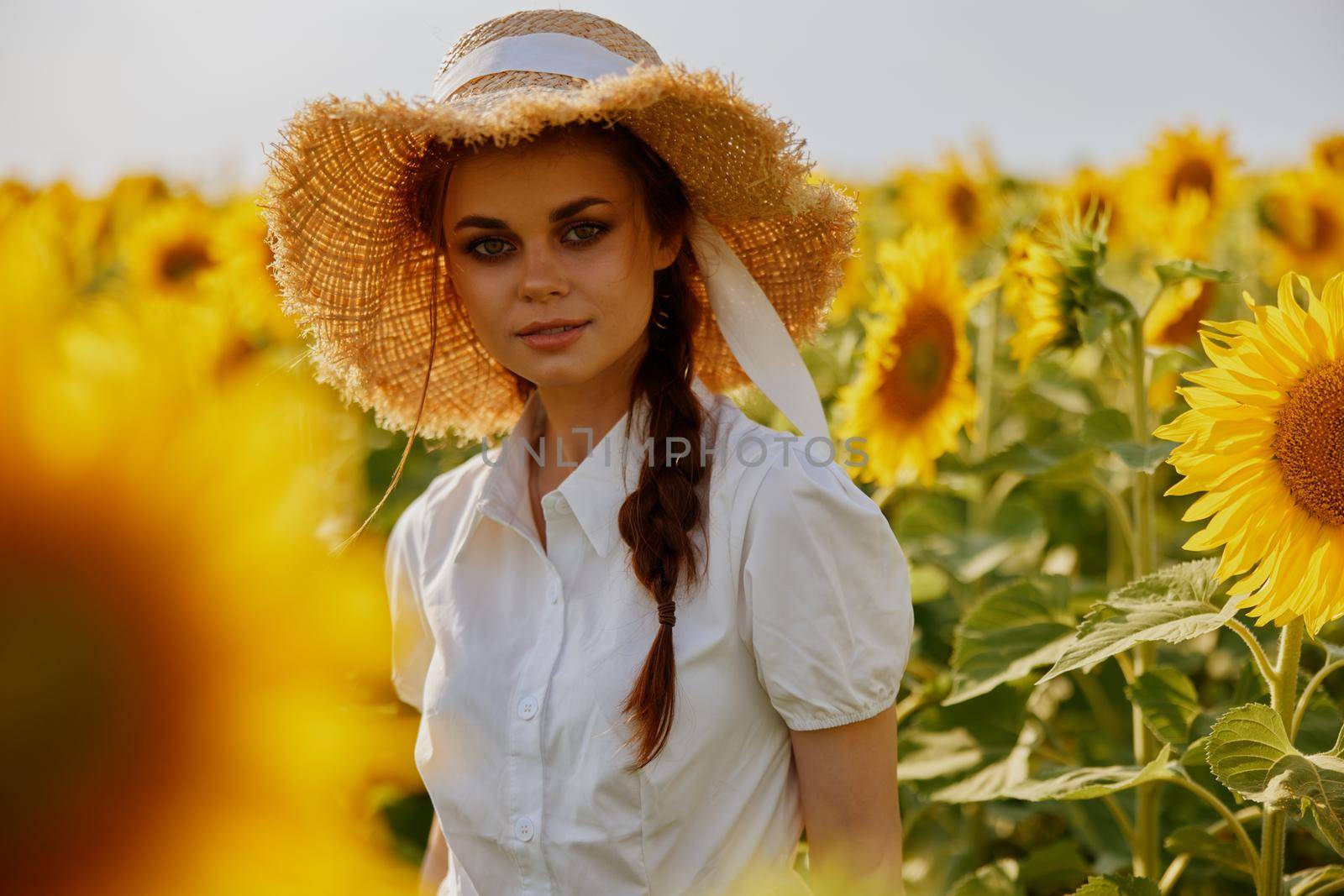 woman portrait in a white dress walking on a field of sunflowers countryside. High quality photo