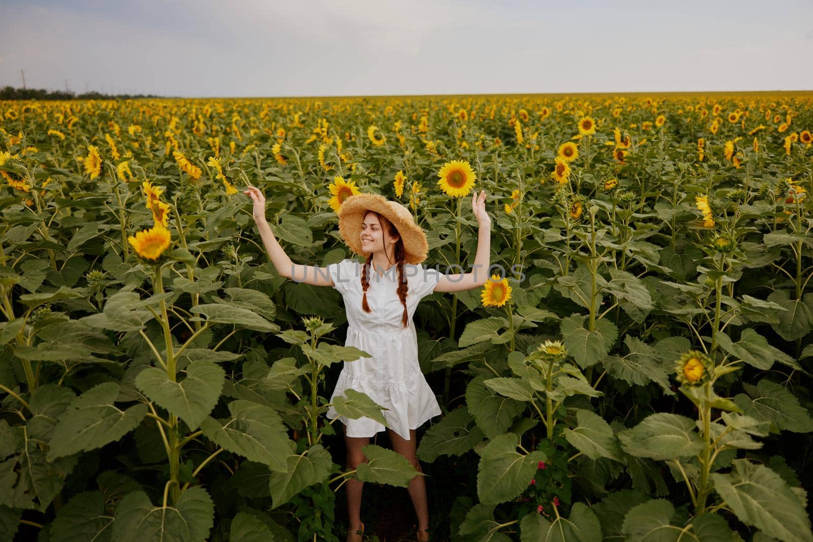 beautiful sweet girl looking in the sunflower field Summer time by SHOTPRIME