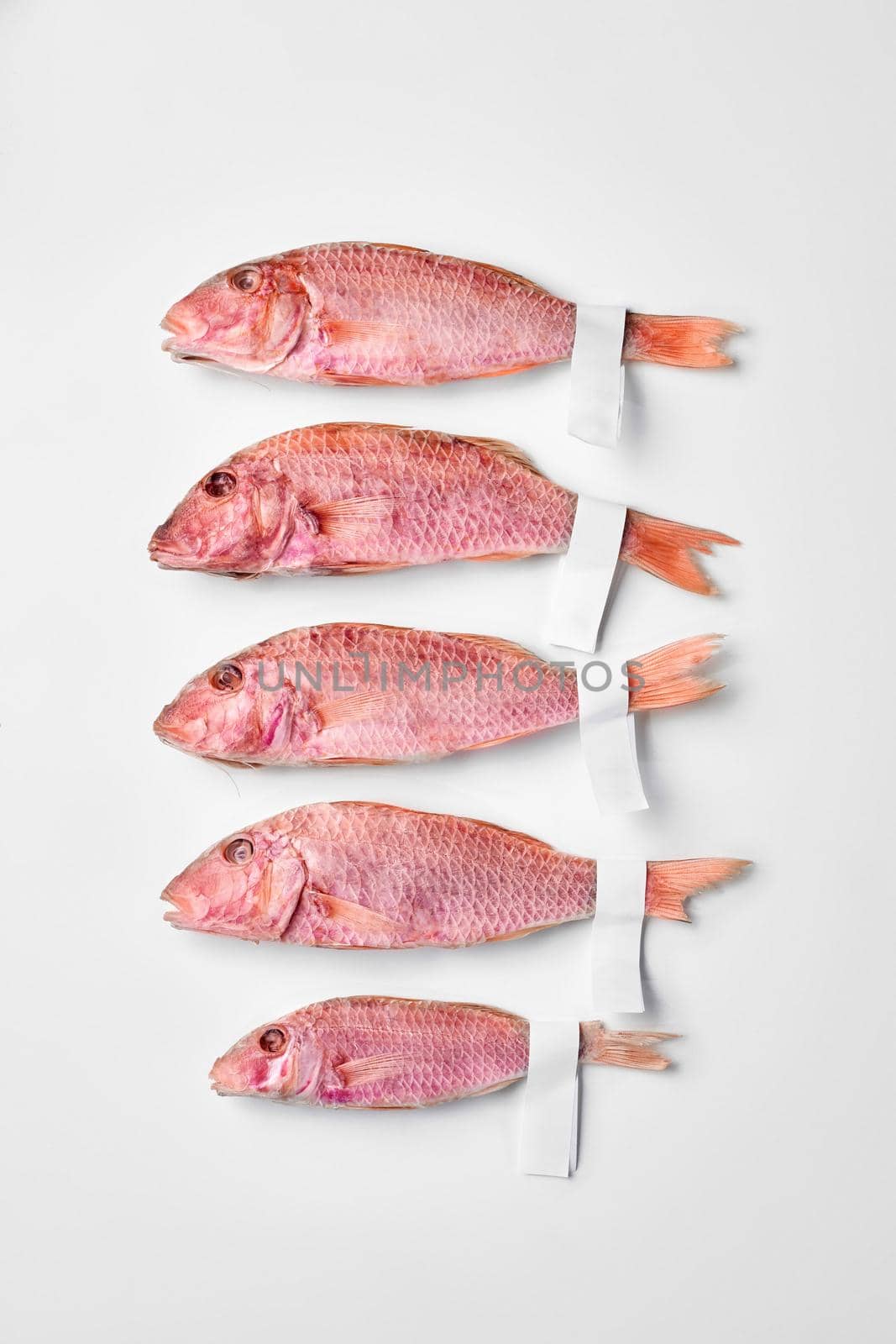 Five air-dried red mullets of different sizes with labels on tails arranged on white background