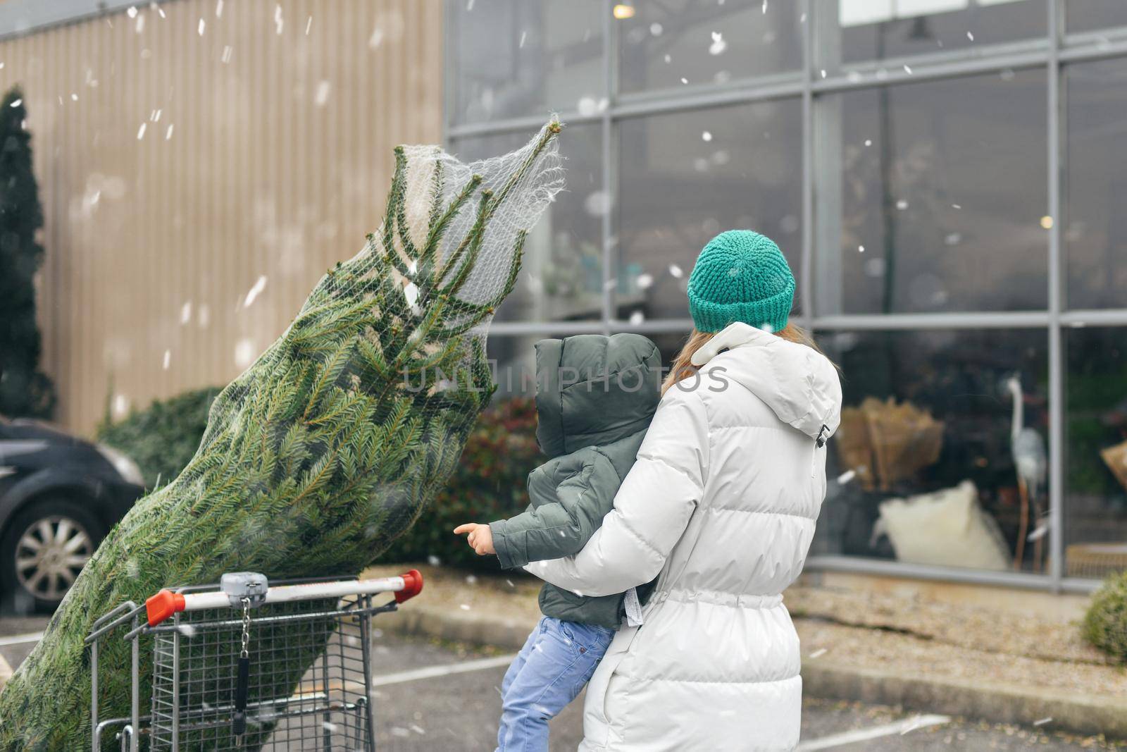 Mother bought a Christmas tree in the market by Godi