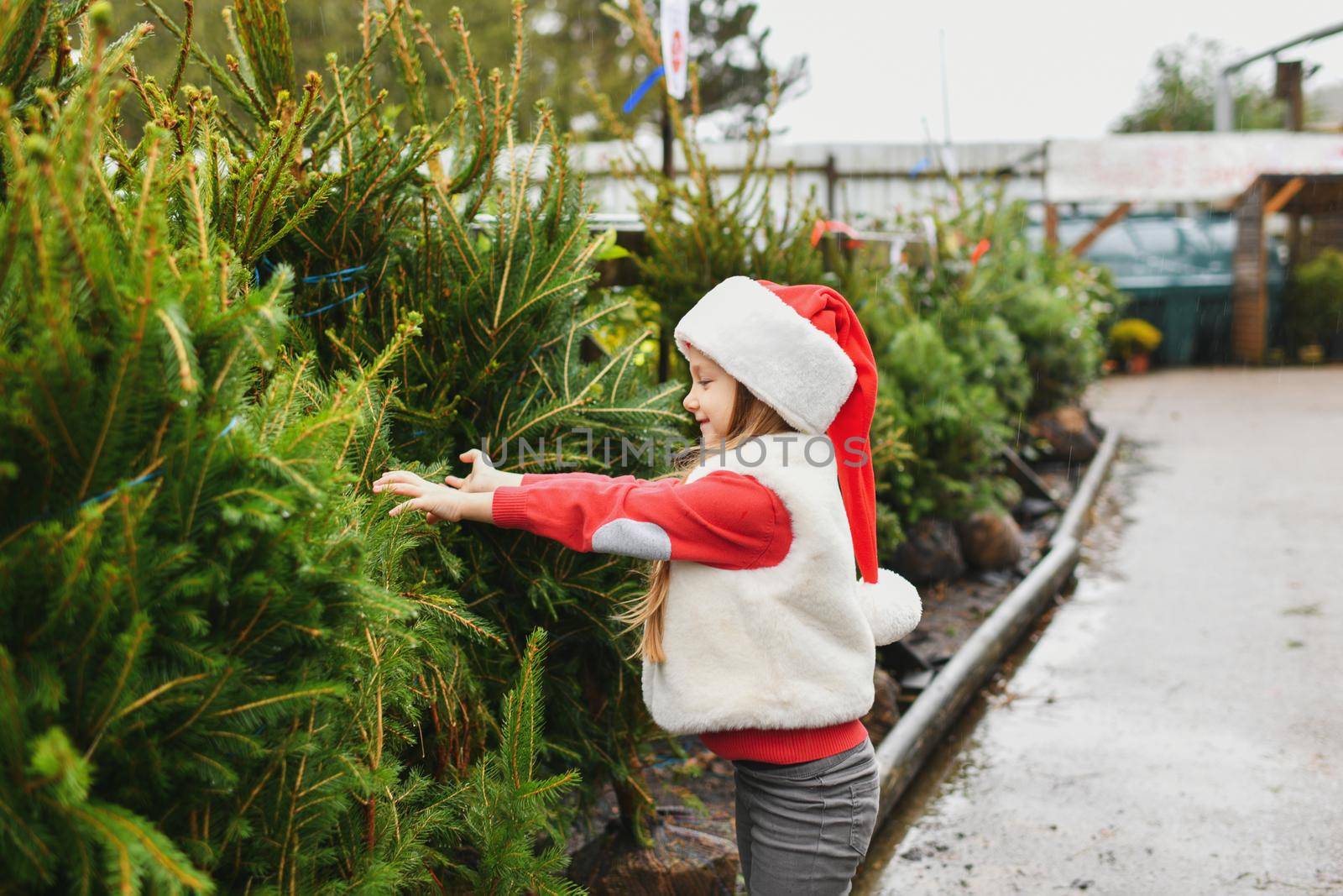 A girl chooses a christmas tree for sale at a shop by Godi