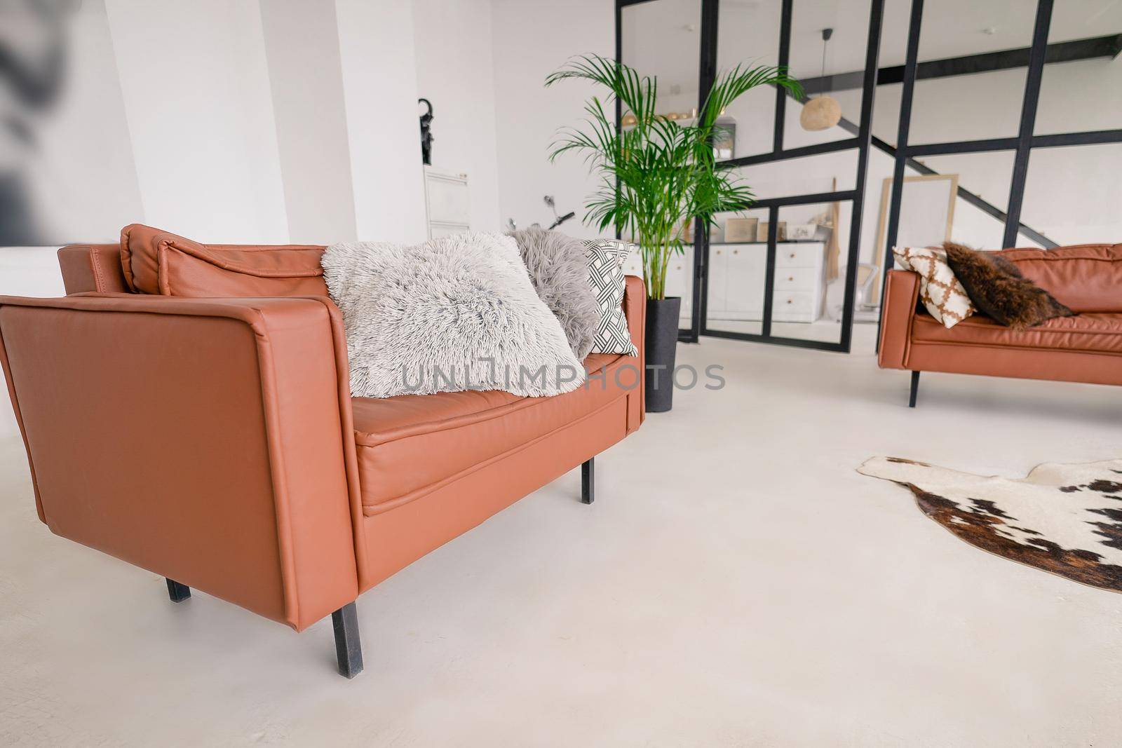 Relaxation Area in the Office. White Room with a Glass Wall, Fashionable Leather Sofas, Sofa Cushions, a Palm Tree in a Pot. Zoning of Rooms. High quality photo