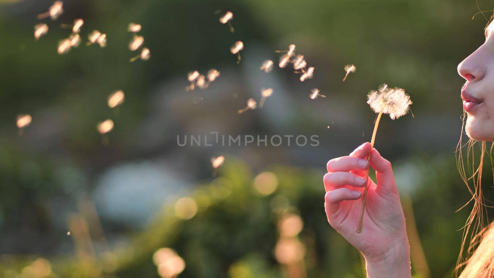 A young girl gently looks at the dandelion flower and blows it away