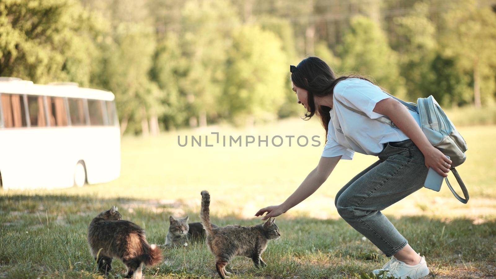 A young girl feeds cats in the village
