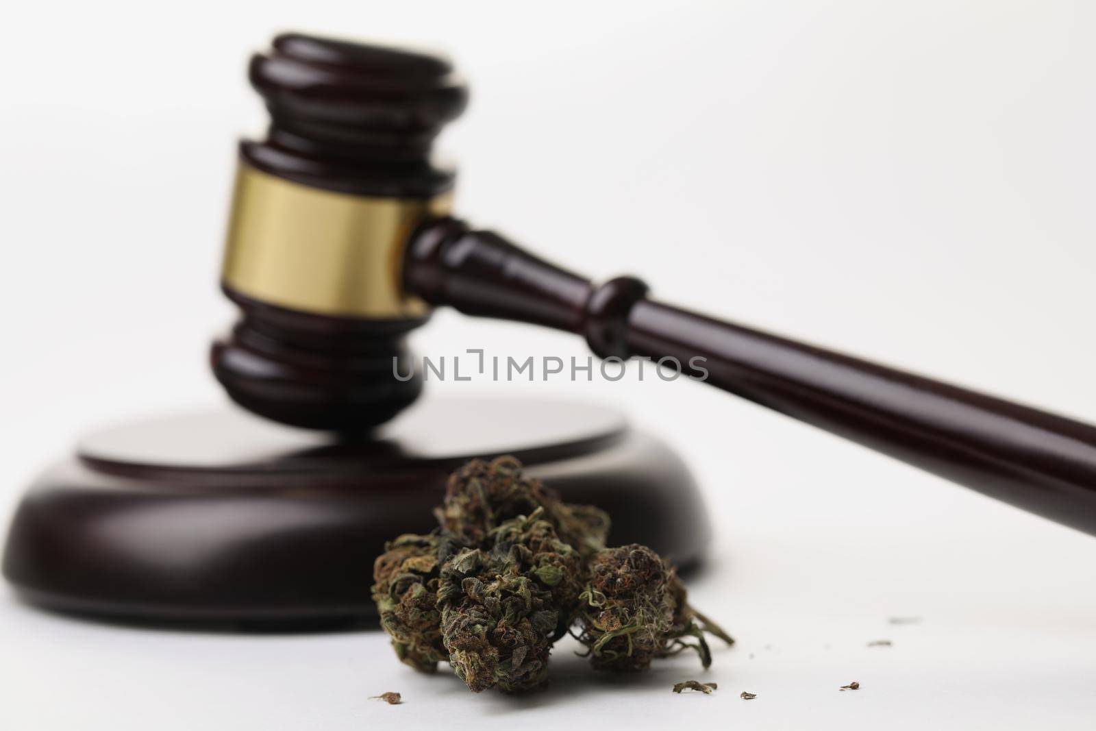 Cannabis herb buds and gavel as symbol of legalization of marijuana by kuprevich
