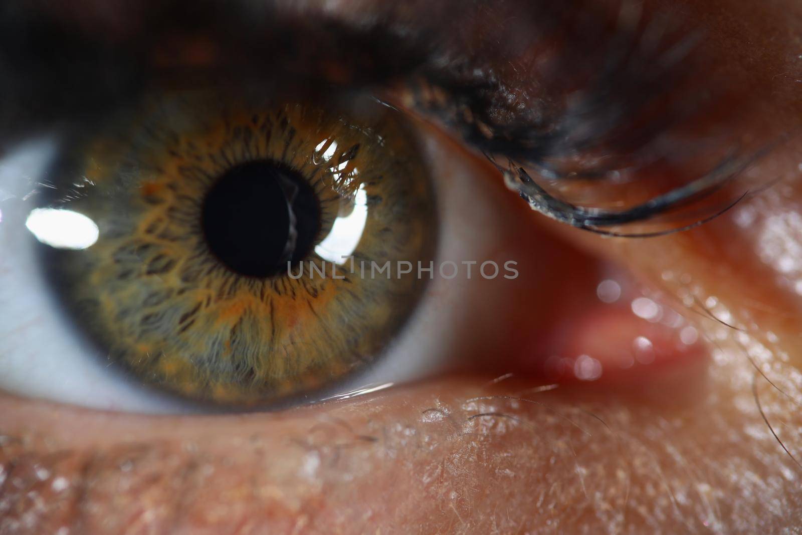 Close-up of womans eye with mascara on it, extreme macro shot of female sight organ, capillaries and imperfections. Ophthalmology checkup, medicine concept