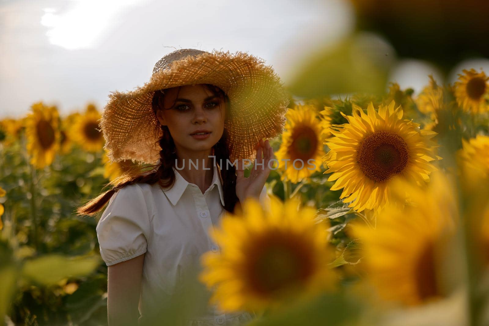 woman with two pigtails In a field with blooming sunflowers Summer time. High quality photo