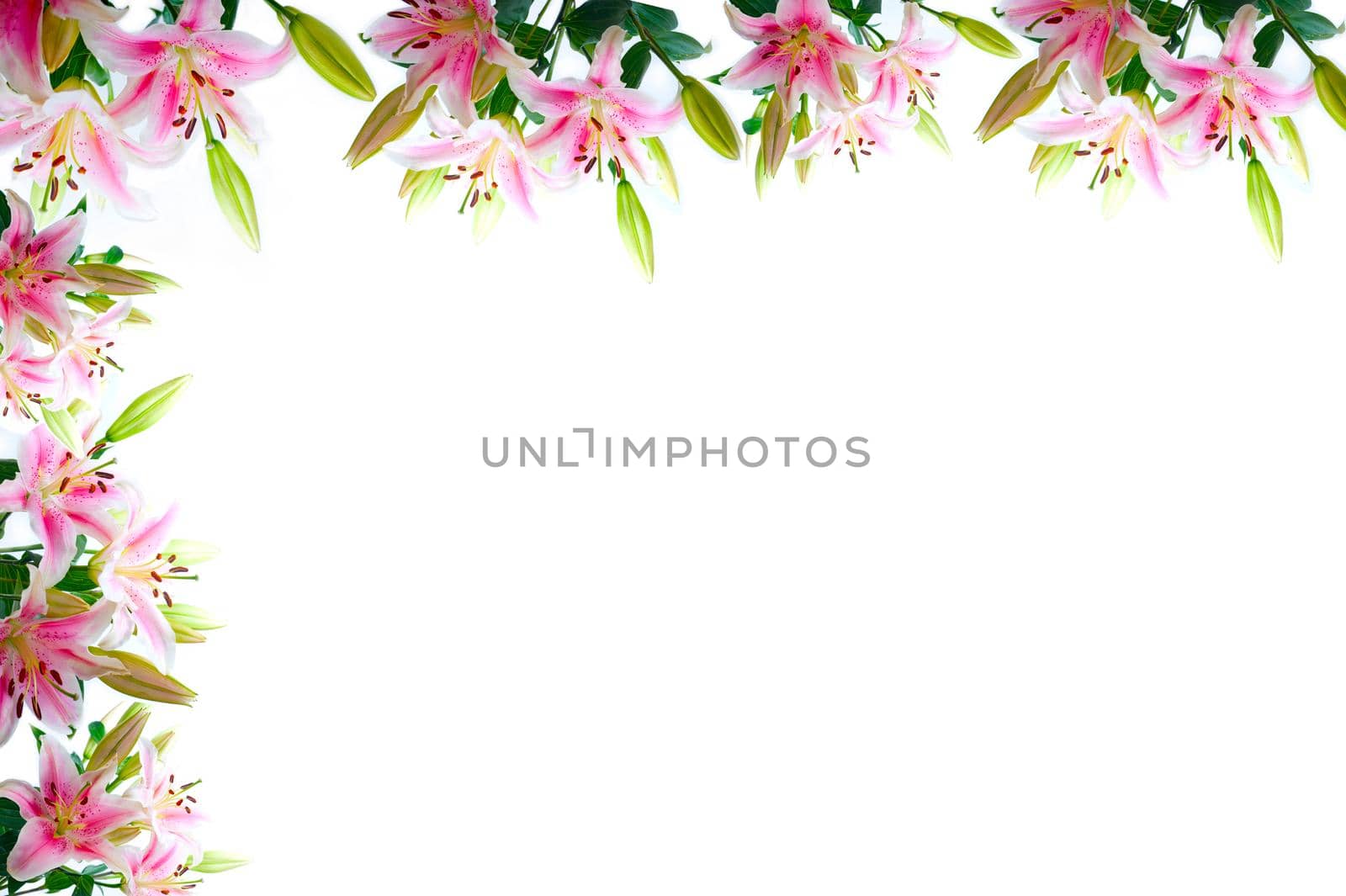 lily flowers composition frame by keko64