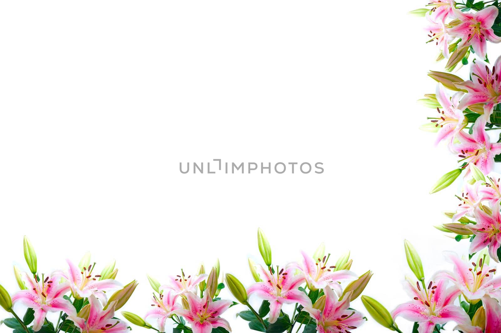lily flowers composition frame by keko64