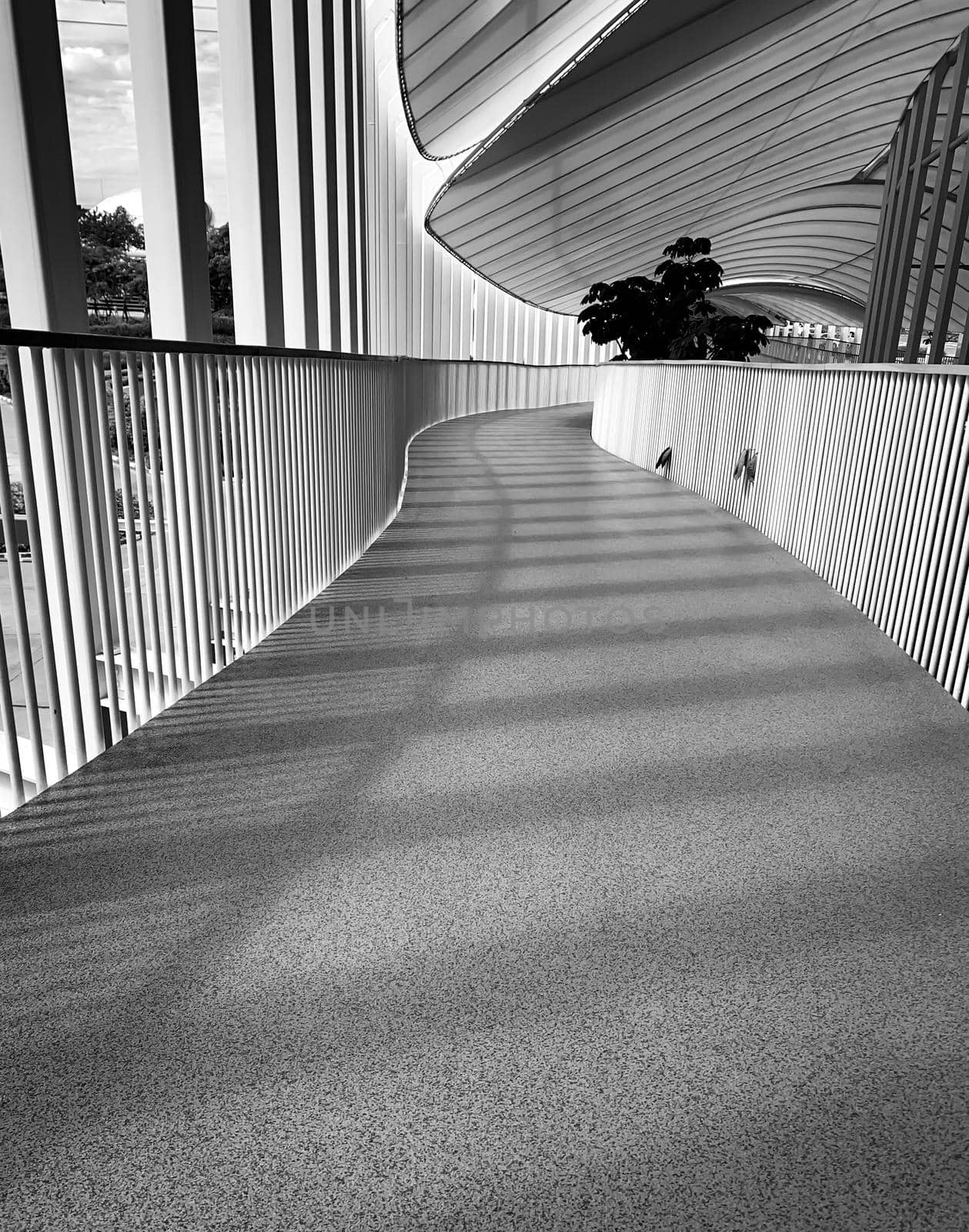 Empty walkway between buildings. Black and white scene of modern design walkway between building. Modern architecture of corridor. Nobody in shopping mall walkway. Modern architecture building.