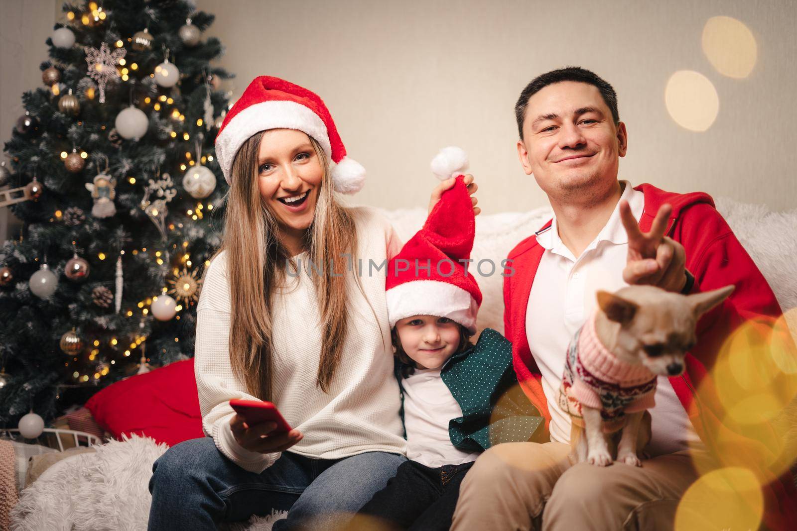 Portrait of happy family with kid son and puppy. Mother in Santa hat, father, child boy and dog in sweater having fun on Christmas holidays at home. Merry Christmas and happy new year by Ostanina