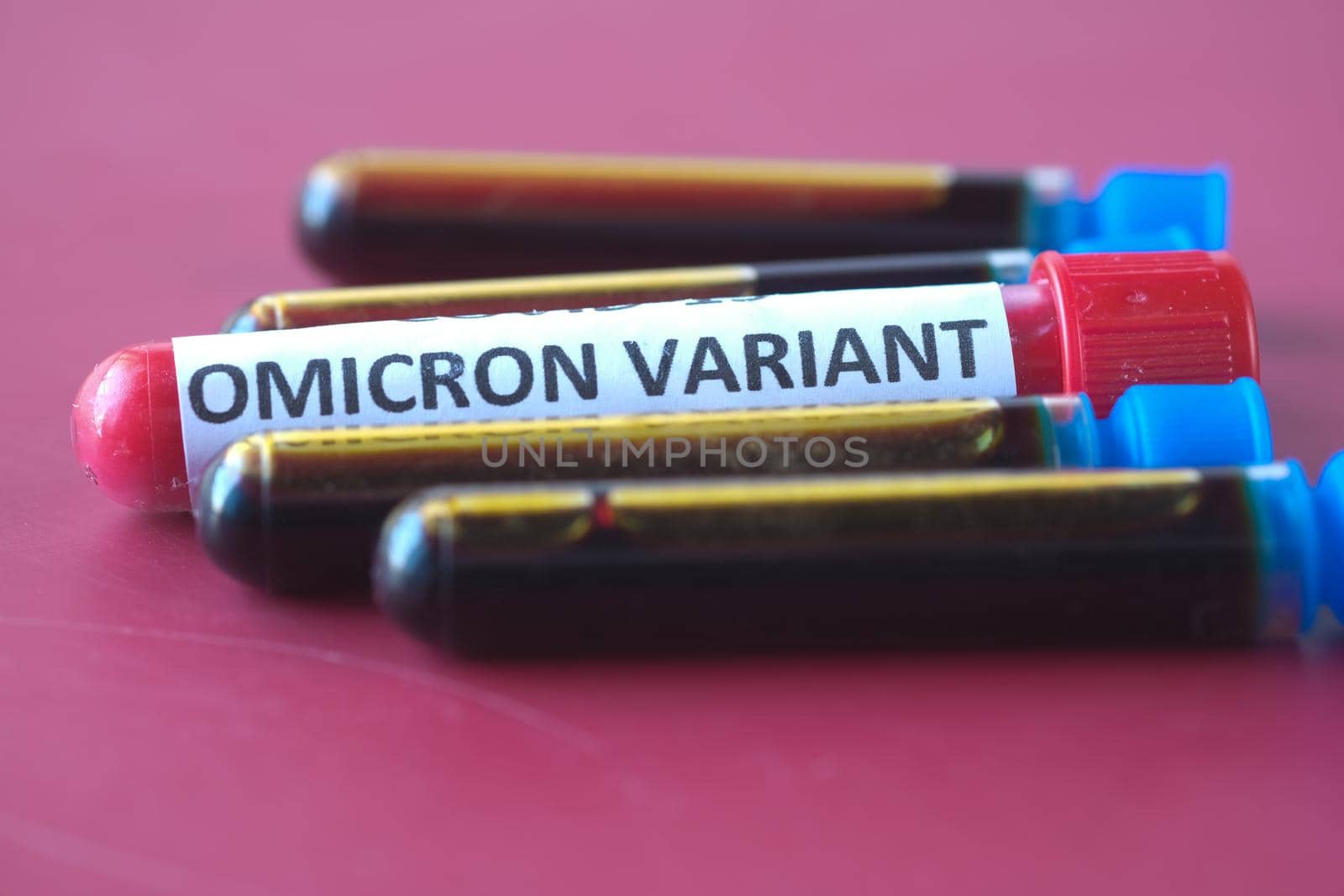 omicron variant corona virus blood test tube on red background .