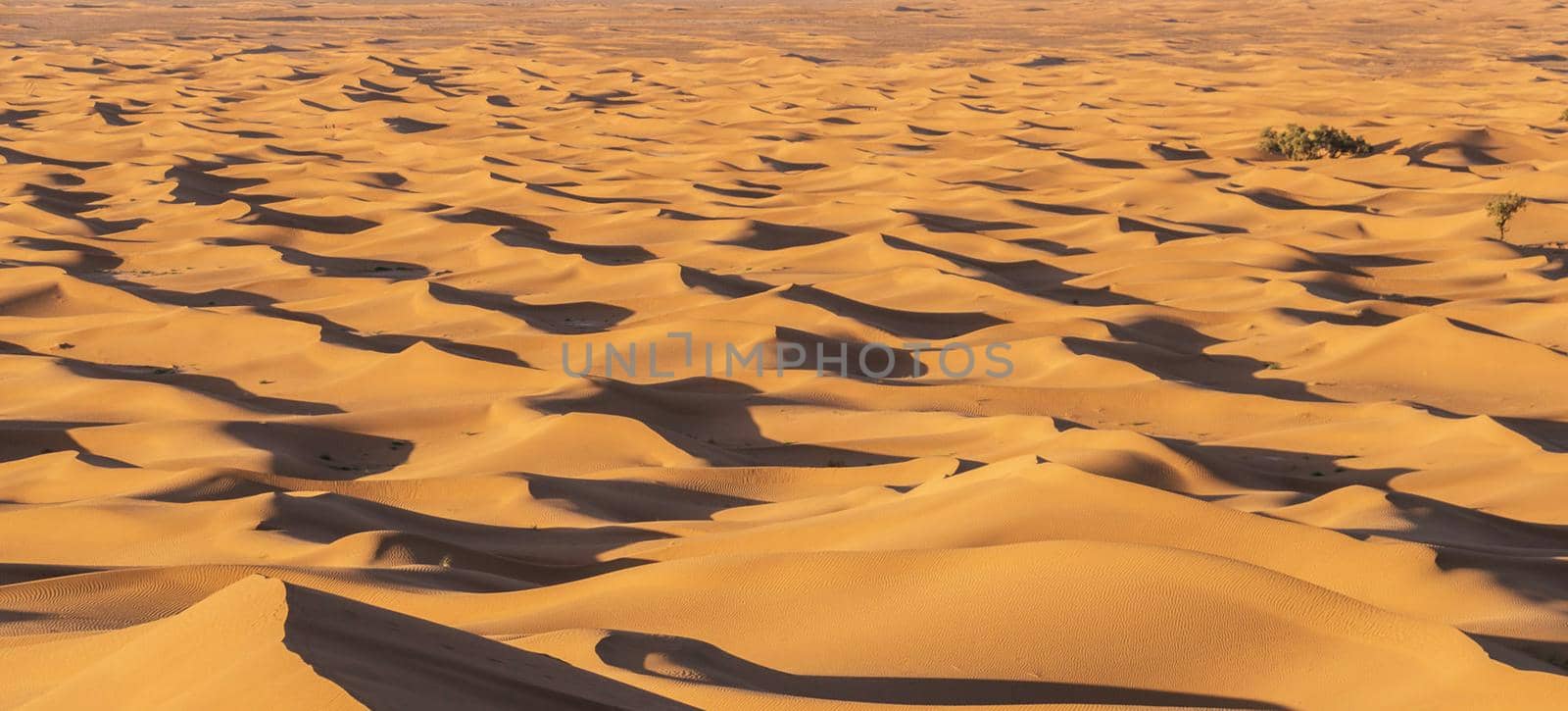 Scenic ridges of sand dunes in Sahara Desert,Morocco