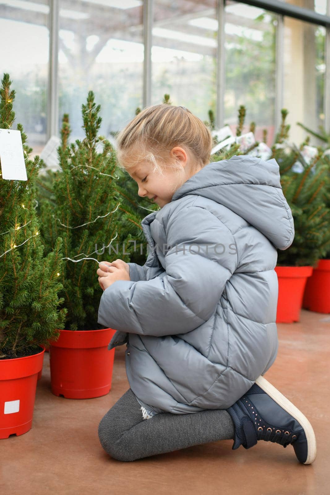 Small girl chooses a Christmas tree in the market. by Godi