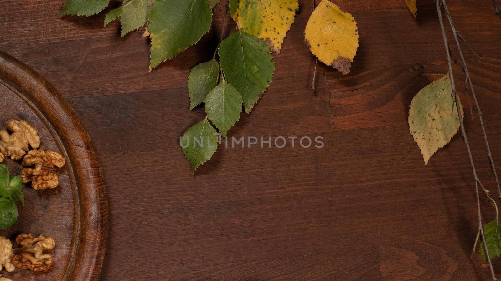 Autumn frame. High angle view of nuts or walnuts and yellow birch leaves on wooden table. Close up shot. Background or template for panoramic banner.