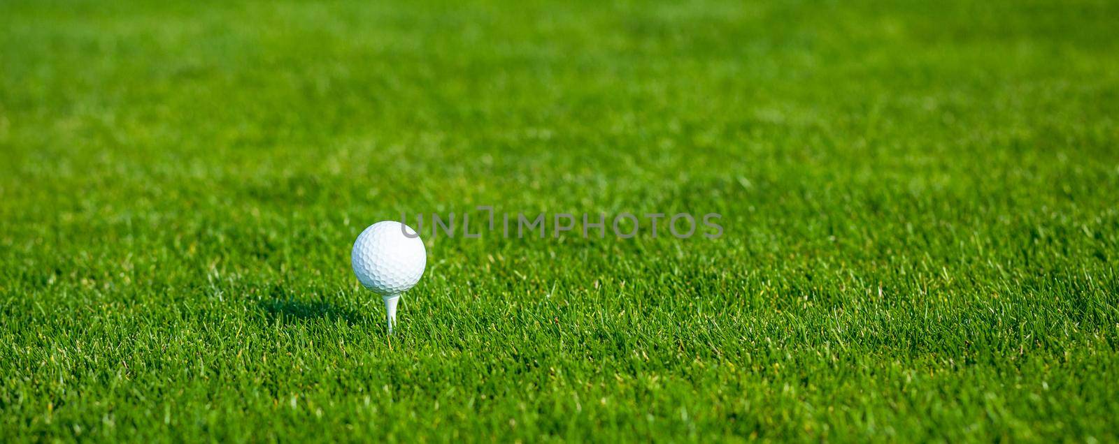 Golf Ball on a Tee in Low Grass on a Golf Course on a Sunny Day. Copy Space. Close-up by LipikStockMedia