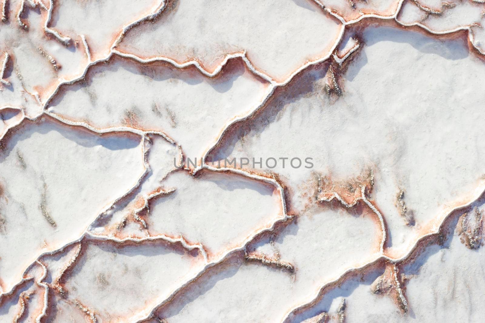 White-red texture of Pamukkale calcium travertine in Turkey, uneven pattern of big cells, close-up