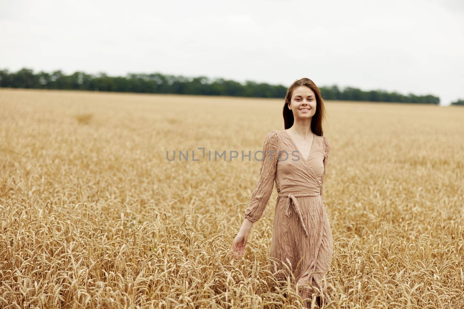 pretty woman the farmer concerned the ripening of wheat ears in early summer harvest. High quality photo