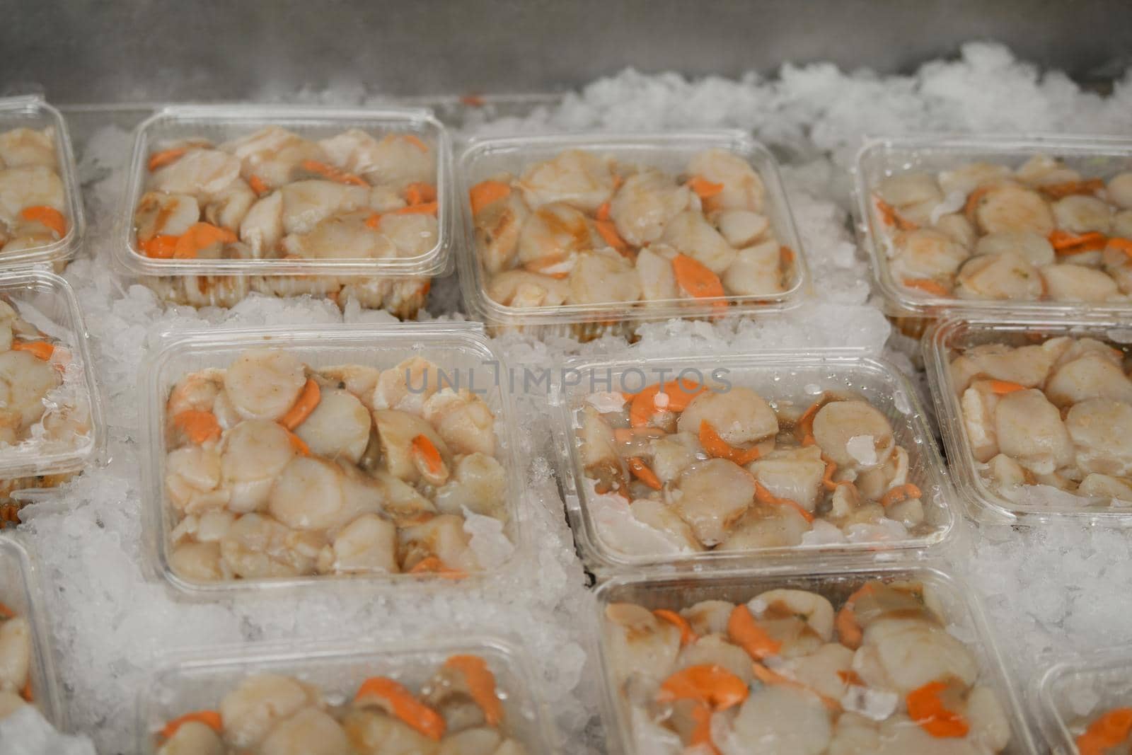 Fresh french scallops on a seafood market at Dieppe France