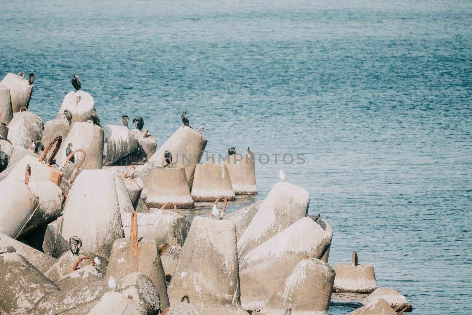 The seashore is reinforced with concrete tetrapods. Protection of the shore from blurring. Sea waves. Concrete tetrapod breakwaters lie all along the coast.