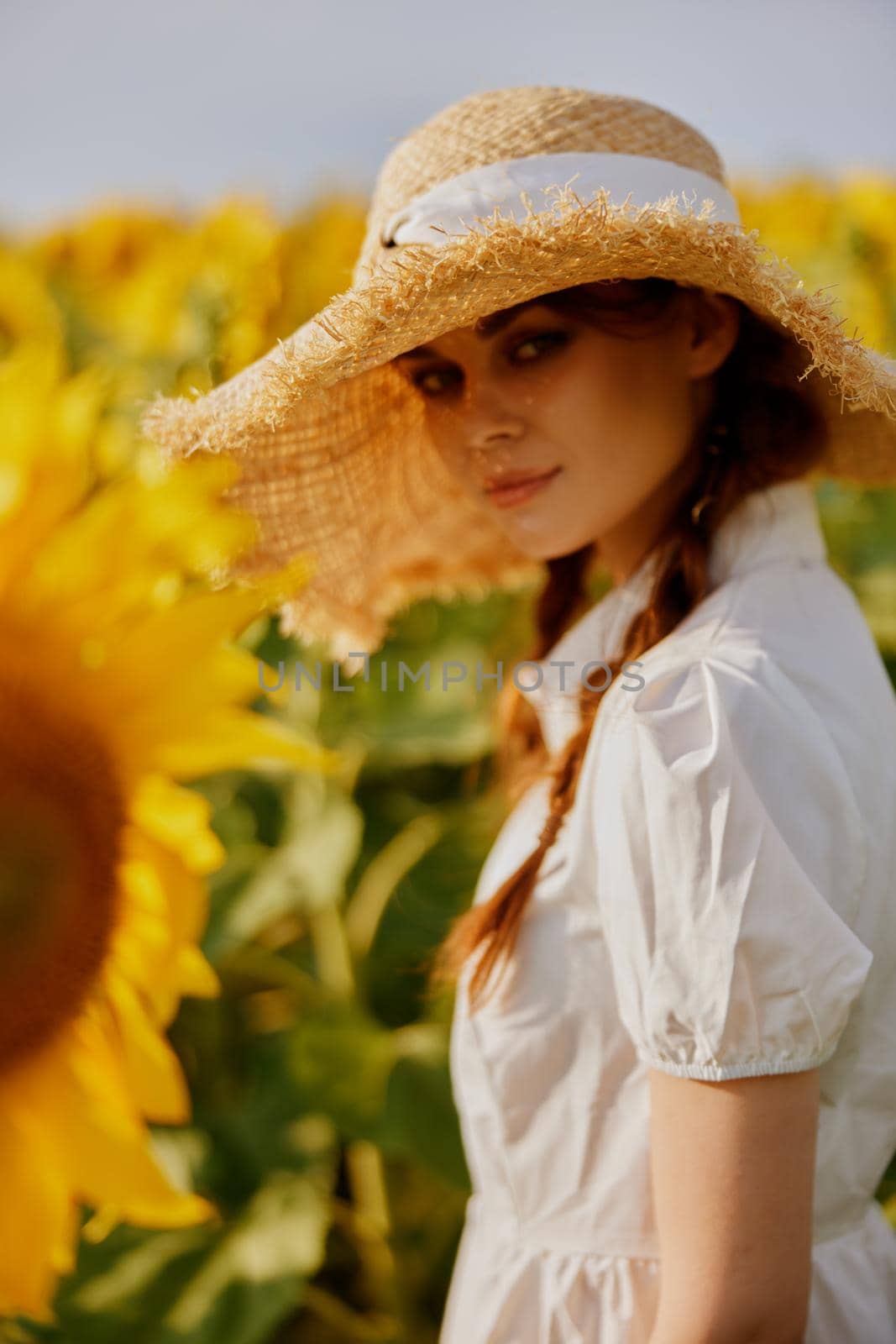 beautiful sweet girl walks through a field of sunflowers Summer time. High quality photo