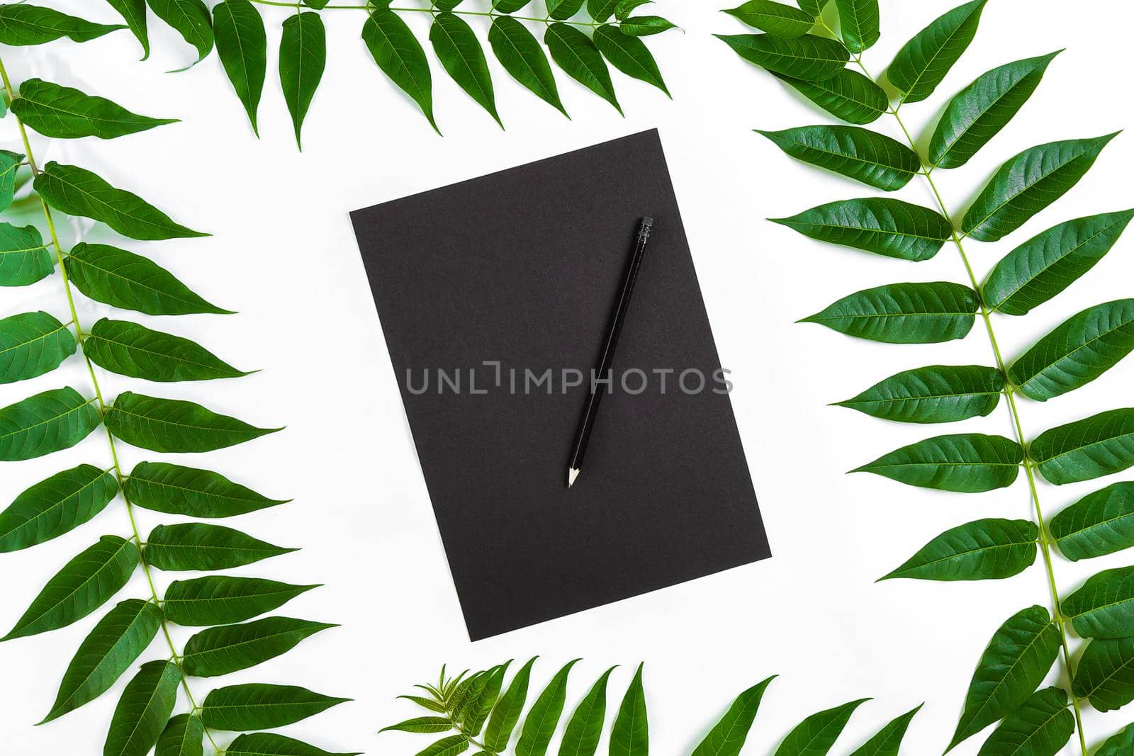 Natural composition with sketchbook and pencils on white table, decorated with green branches. Flat lay, top view, view from above by nazarovsergey