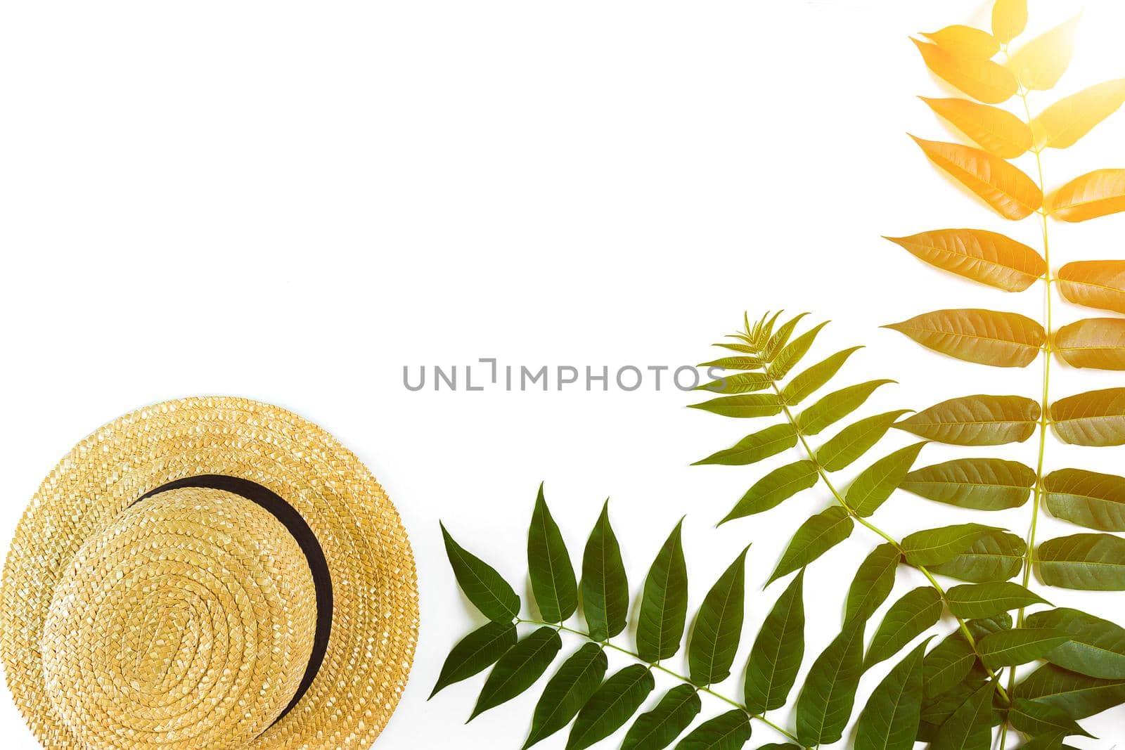 Green leaf branches and straw haton white background. flat lay, top view. Copy space. Still life. Sun Flare