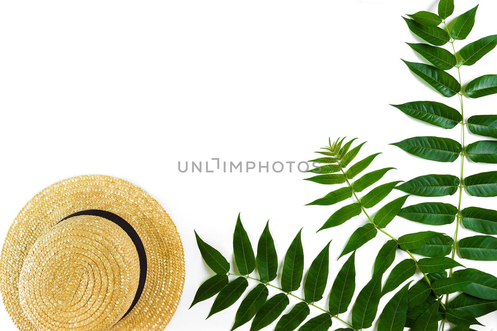 Green leaf branches and straw haton white background. flat lay, top view. Copy space. Still life