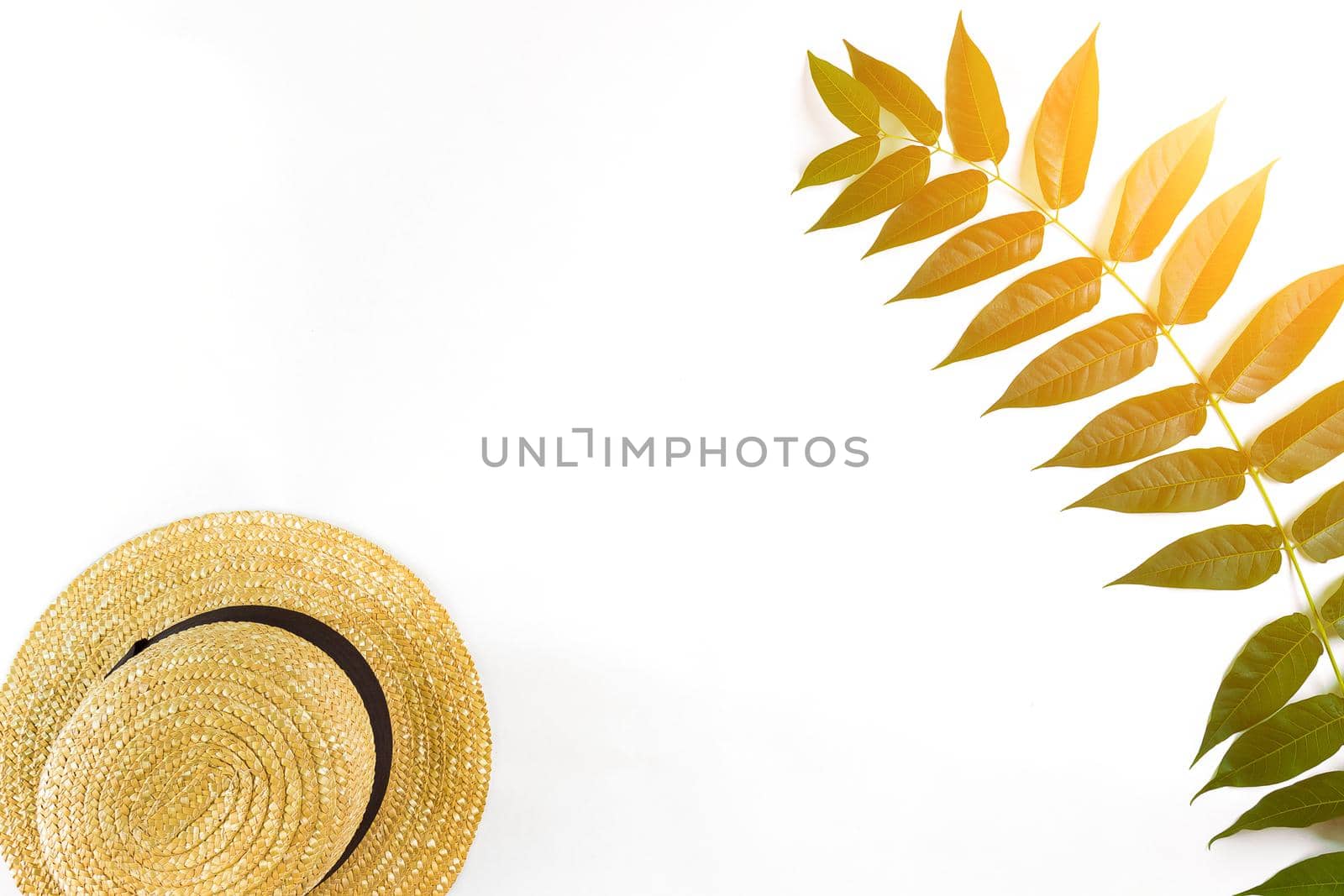 Green leaf branches and straw haton white background. flat lay, top view. Sun Flare by nazarovsergey