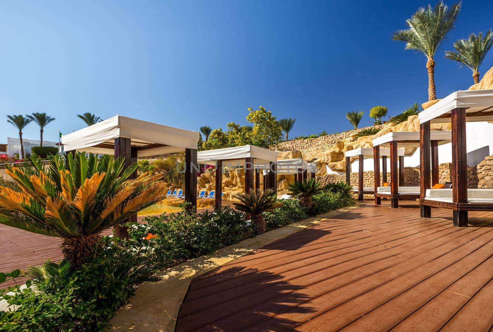 Several of luxury loungers. Exotic vacation by the hotel pool in bright sunshine, Egypt.