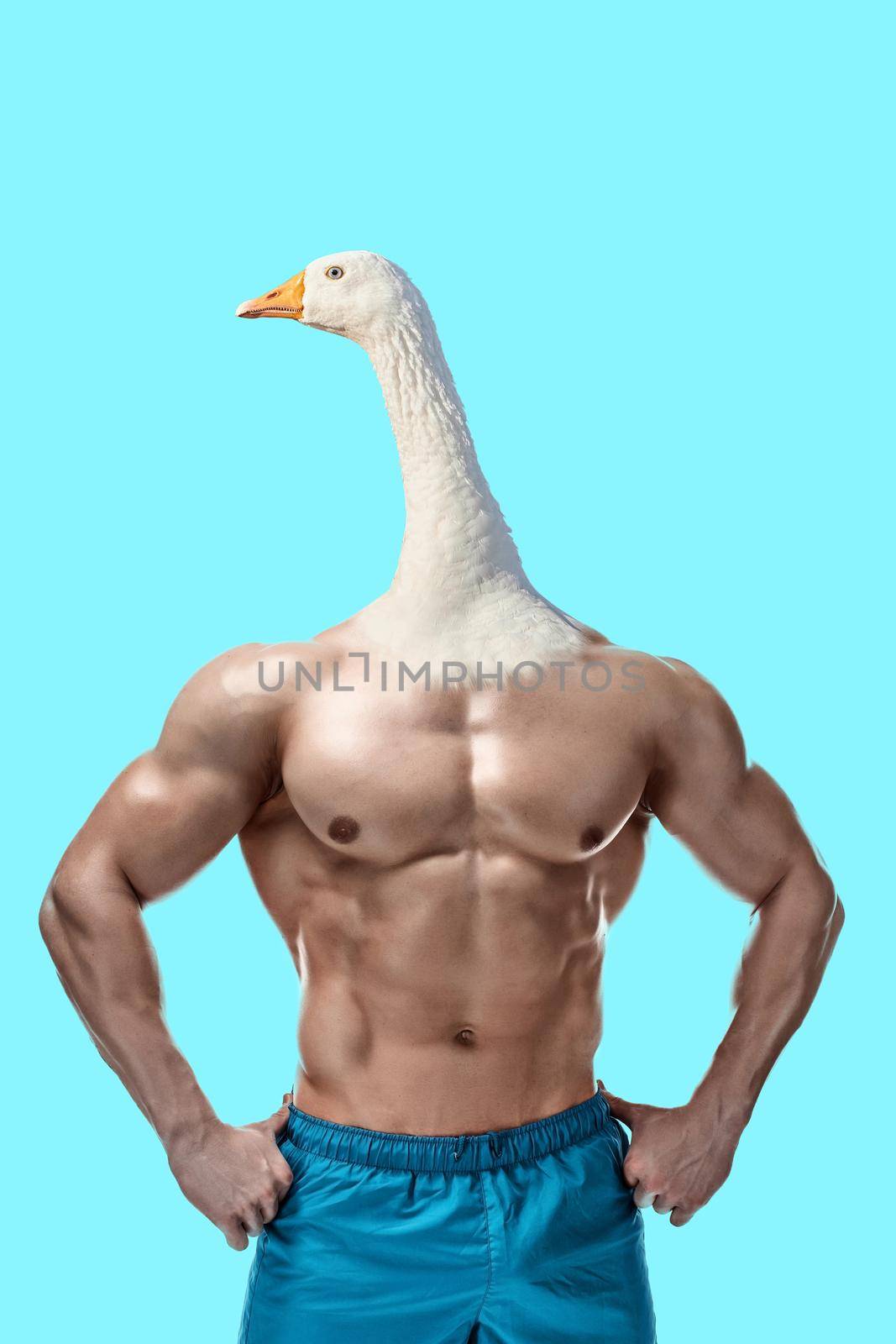 Athletic man in sport clothes with goose head. Sports concept, art collage. by nazarovsergey