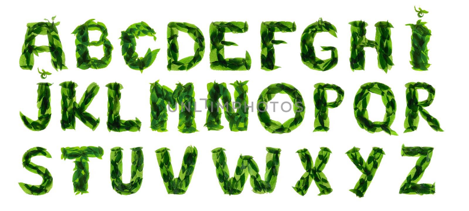 English alphabet, made of a mint leaves. Ingredient for cocktails, desserts and other dishes. Isolated on white background. Concept: design, logo, word, text, title, illustration.