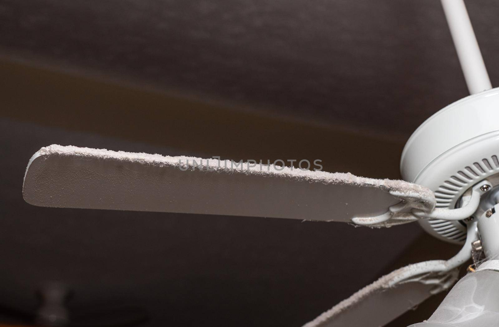 Fan blade on ceiling fan and light fixture in need of cleaning to remove dust and fluff along the edge