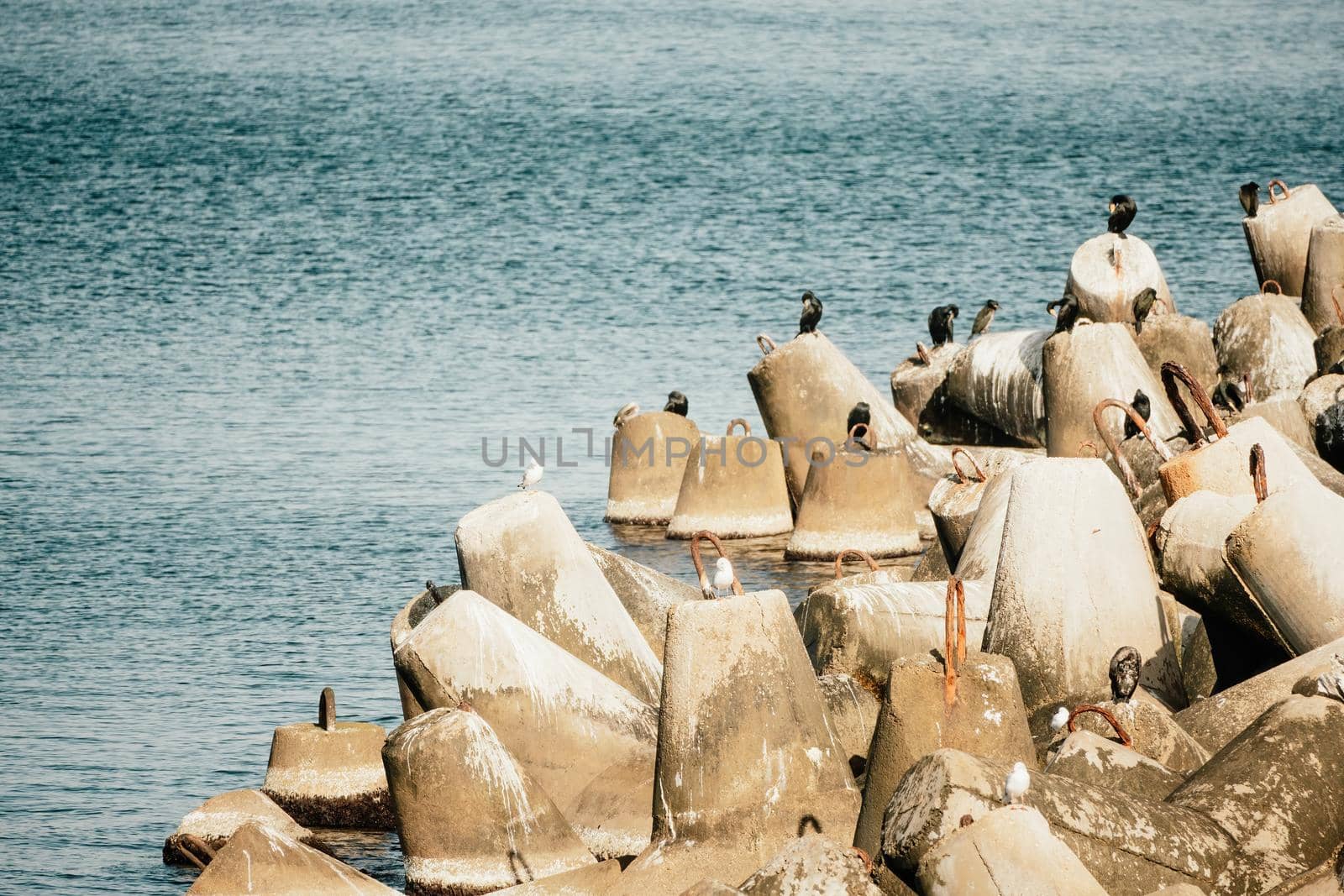 The seashore is reinforced with concrete tetrapods. Protection of the shore from blurring. Sea waves. Concrete tetrapod breakwaters lie all along the coast.