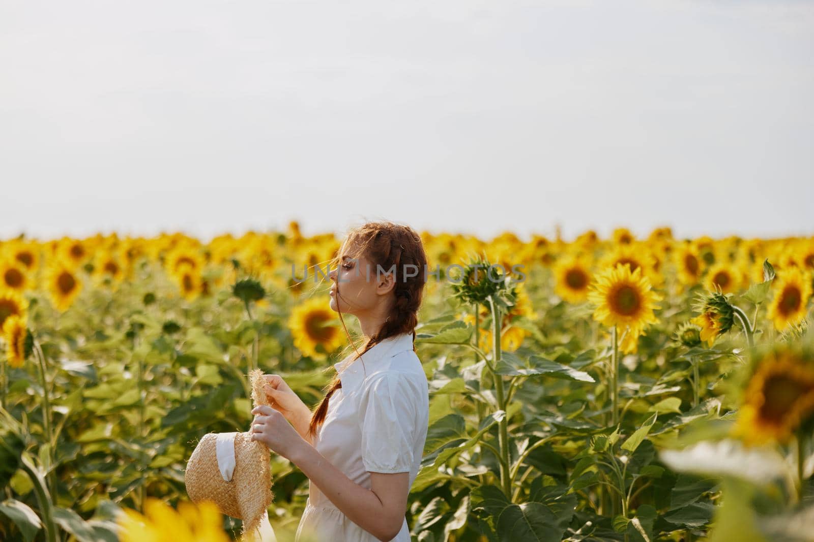 woman portrait looking in the sunflower field landscape. High quality photo