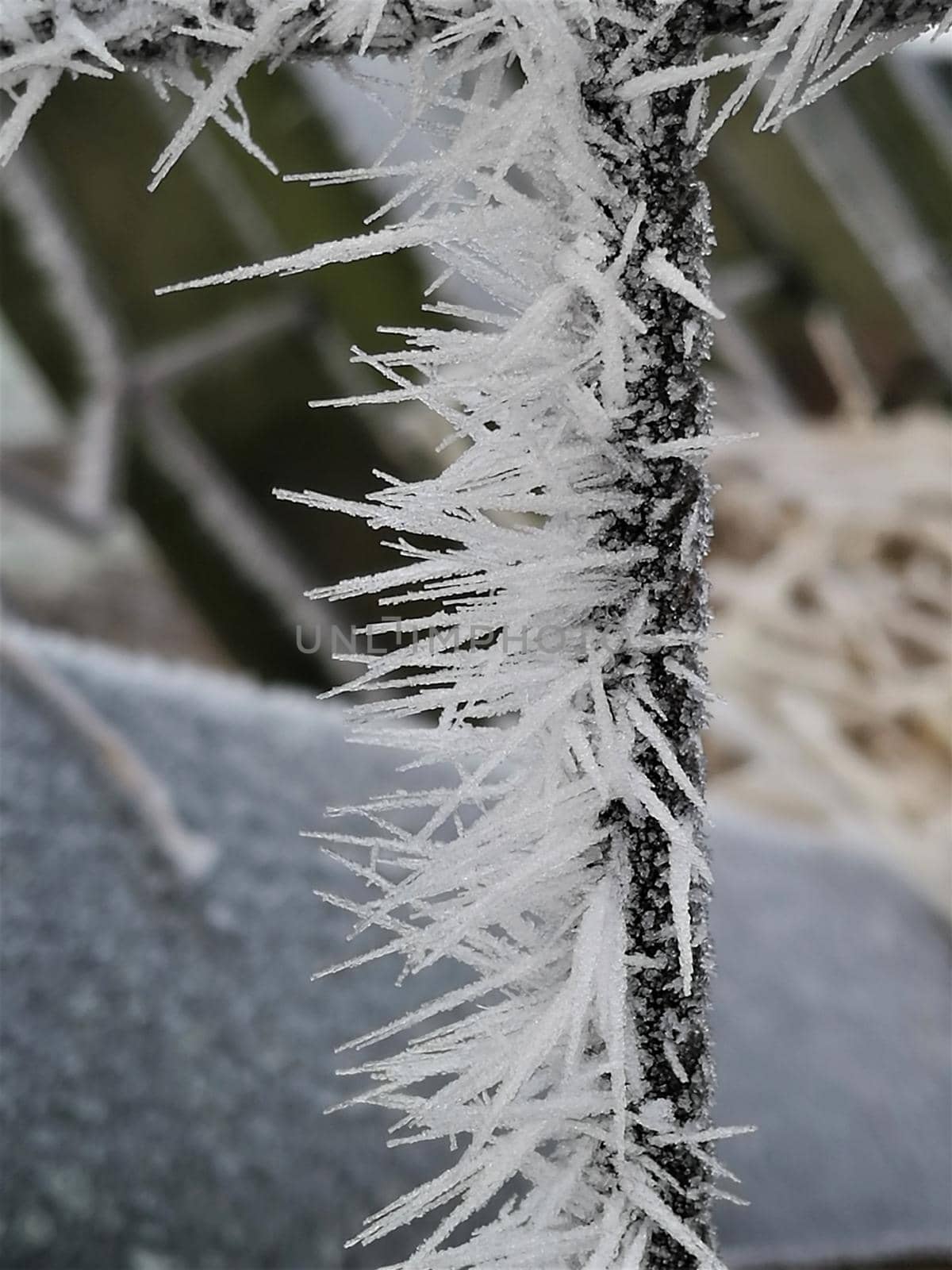 hoarfrost on a black thin iron bar as a close up