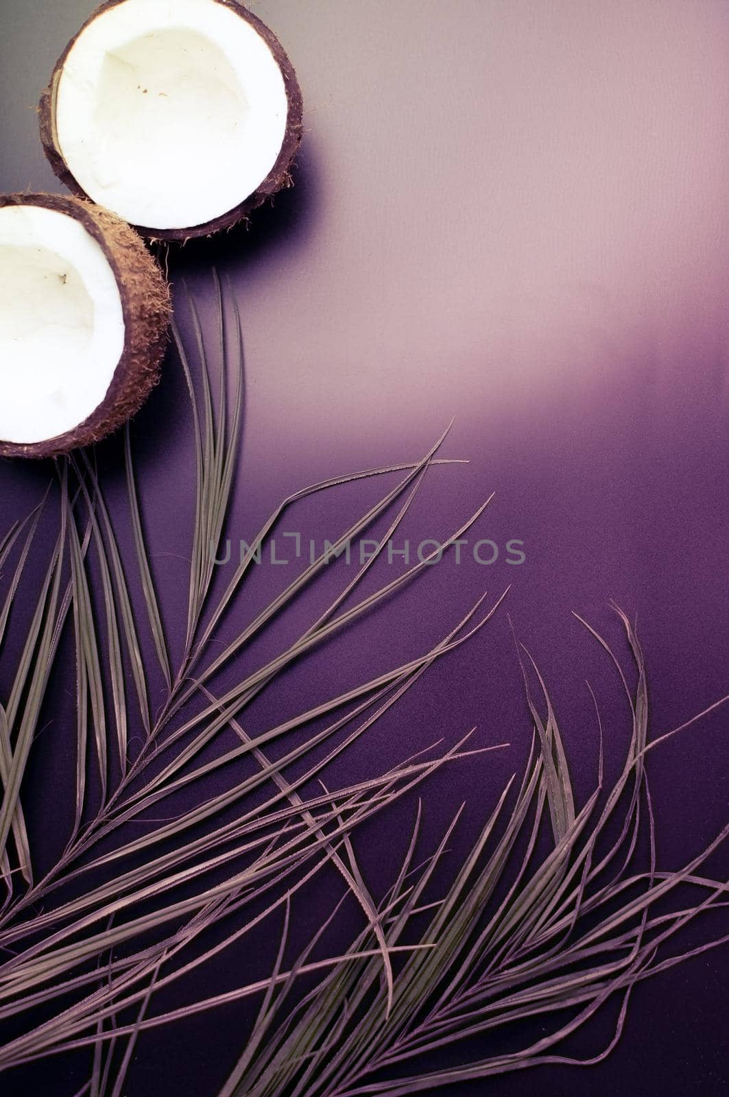 Summer composition with neon lights. Tropical palm leaves and broken coconut on a dark background. The concept of the summer season, parties and heat. Flat lay, top view, copy space