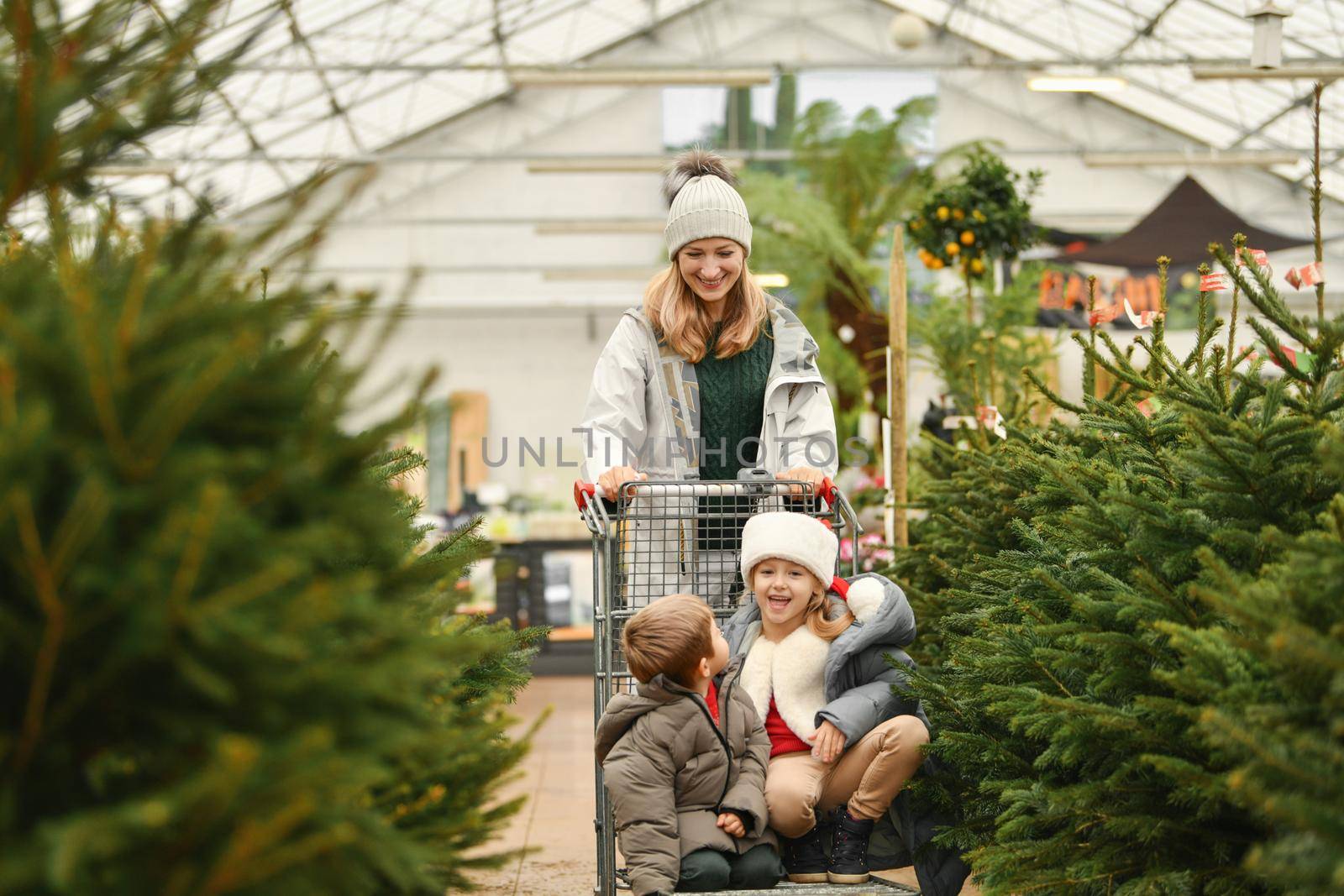 Mother and children choose a Christmas tree at a market. by Godi