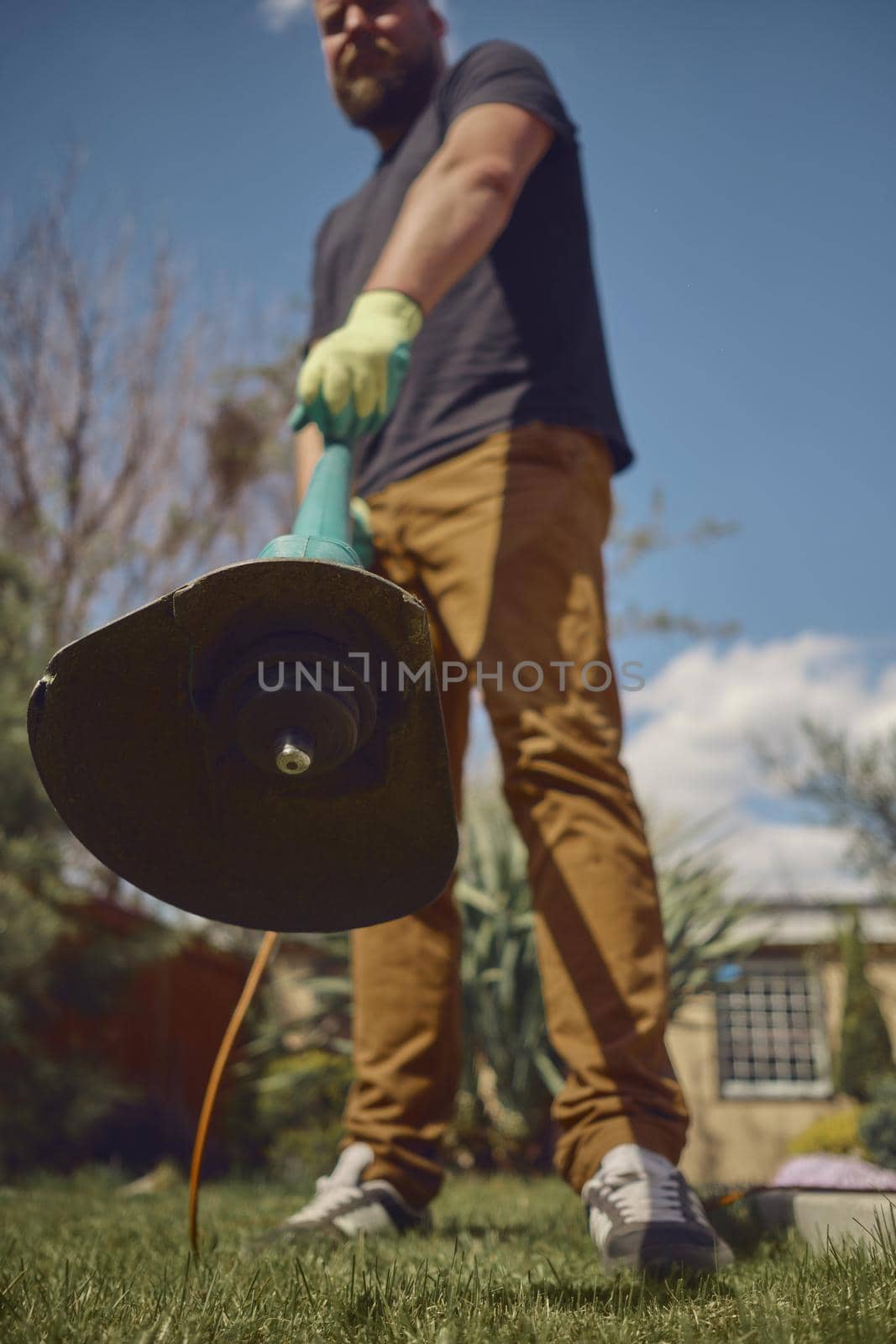 Bearded man in casual clothes and gloves is trimming green grass with professional electrical mini lawn mower on his backyard. Sunny day. Close up by nazarovsergey