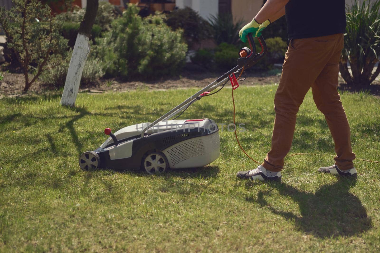 Strong male in casual outfit and colorful gloves is cutting green grass with electric lawn mower in his garden. Gardening care equipment and services. Sunny day