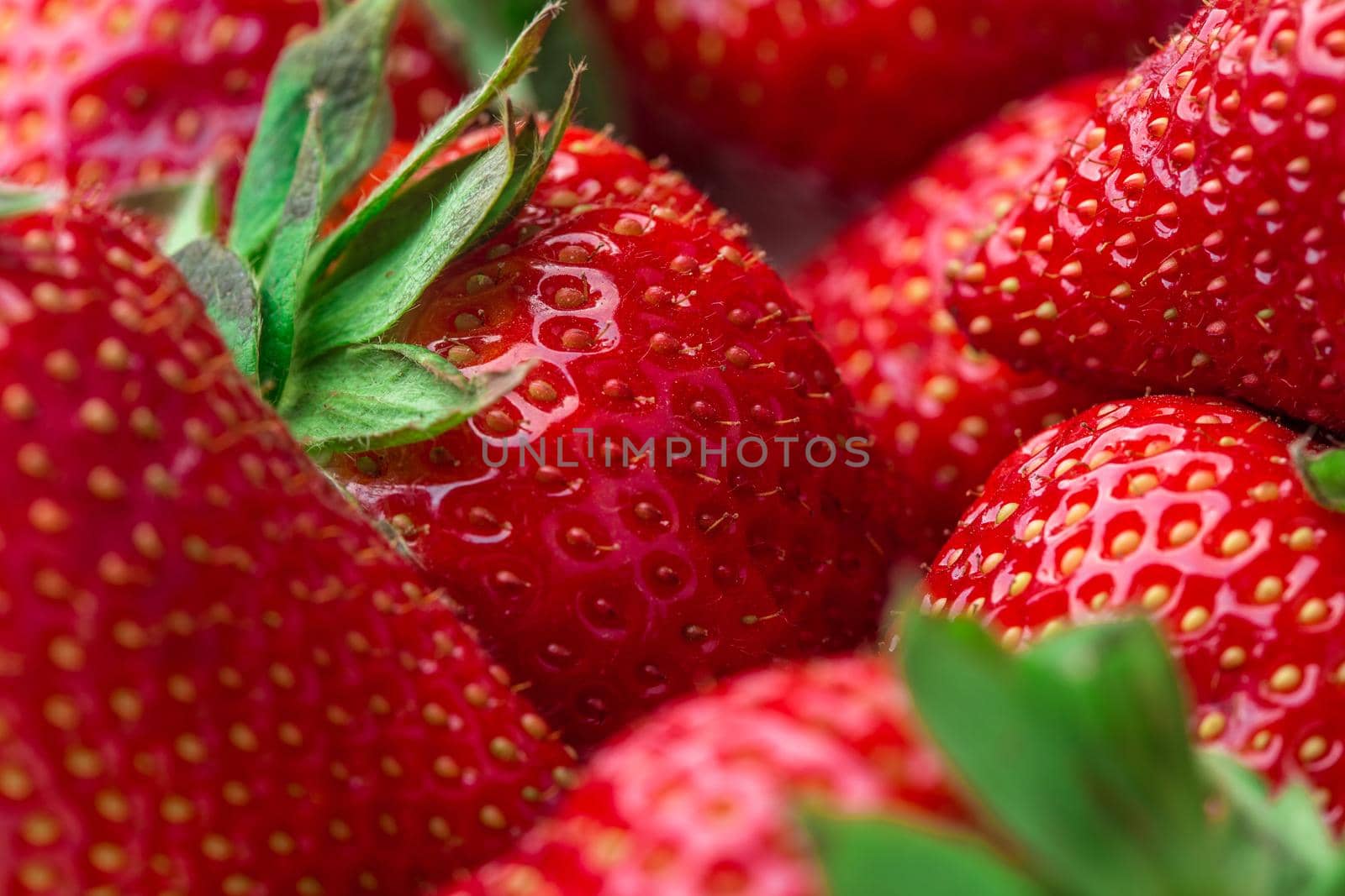 Red Strawberry, red close up strawberries with selective focus on a strawberry with many strawberries in the background for food or fruit close up background or strawberry texture.