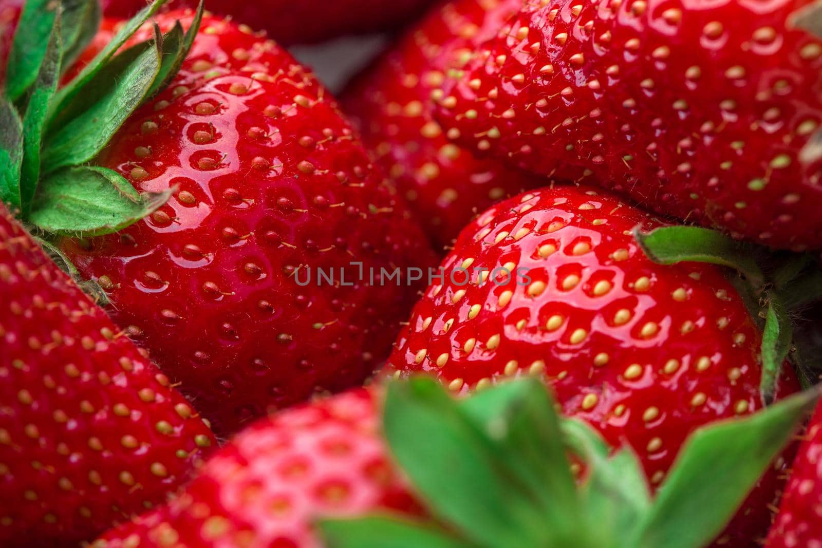 Red Strawberry, red close up strawberries with selective focus on a strawberry with many strawberries in the background for food or fruit close up background or strawberry texture.