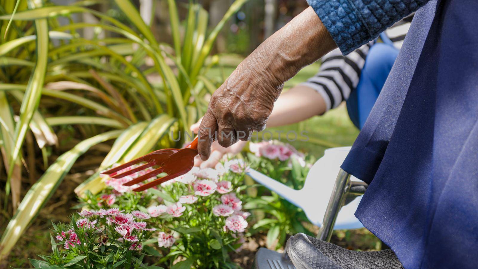 Mother's Day  , Senior woman and daughter relax with gardening in backyard