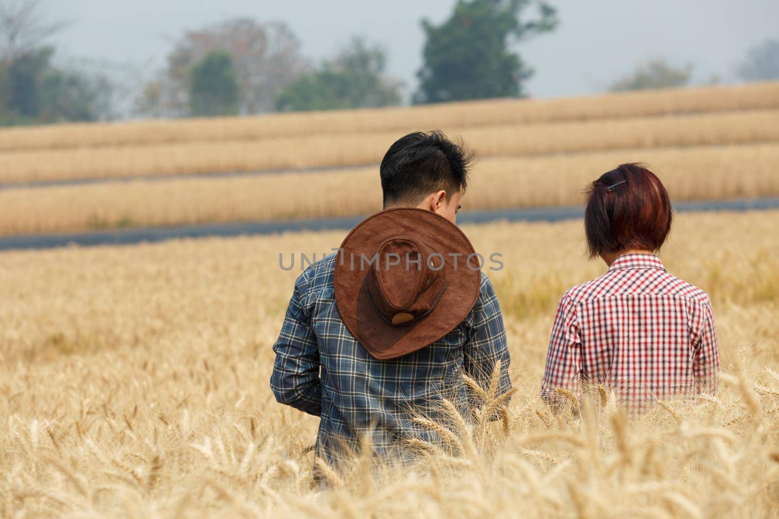Agronomist and farmer checking data in a wheat field with a tablet and examnination crop. by toa55
